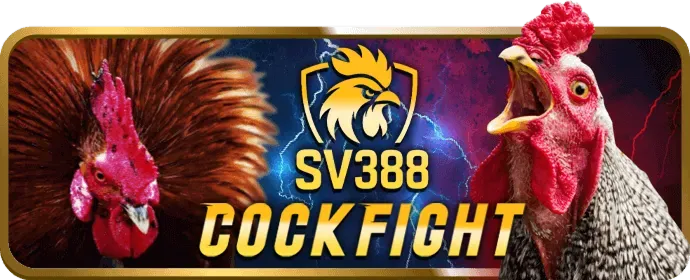 Ưu Đãi Chào Mừng Twin68